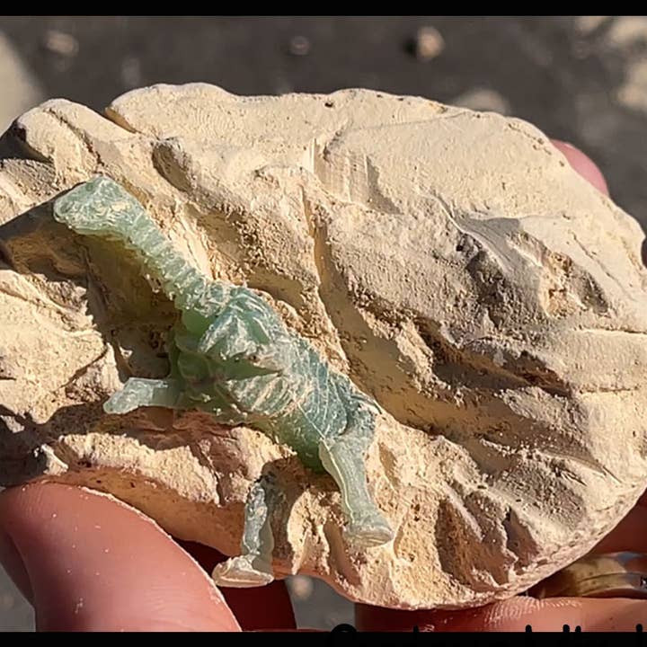 Curious Minds Toys - Wholesale Figurine toy – Kids - 1 Dinosaur Fossil Excavation Dig Eggs - Uncover Dino Fossil 5