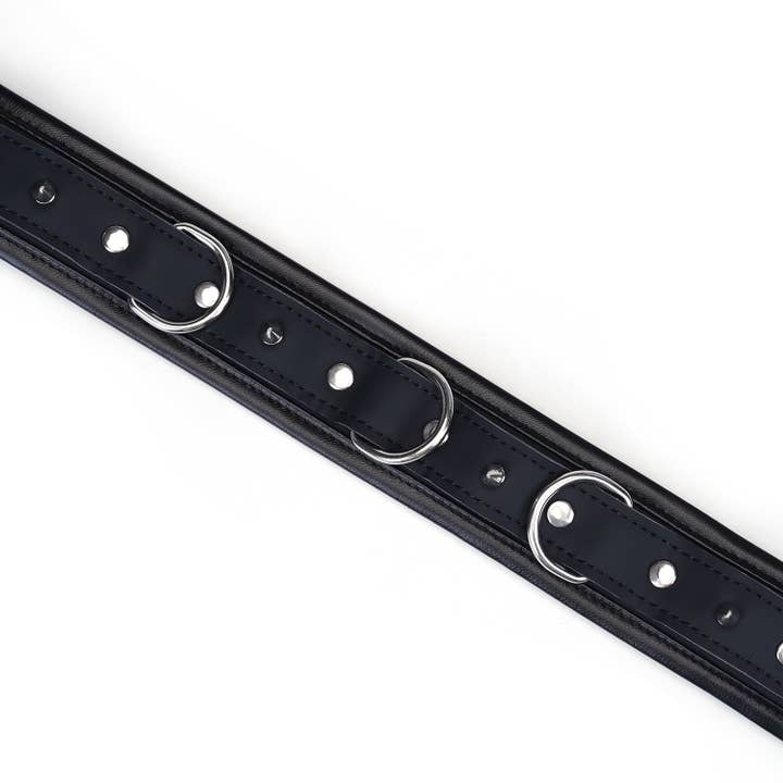 Liebe Seele - Wholesale Pet Collar - Cat/Dog - Vegan Fetish Collar and Leash with Stud