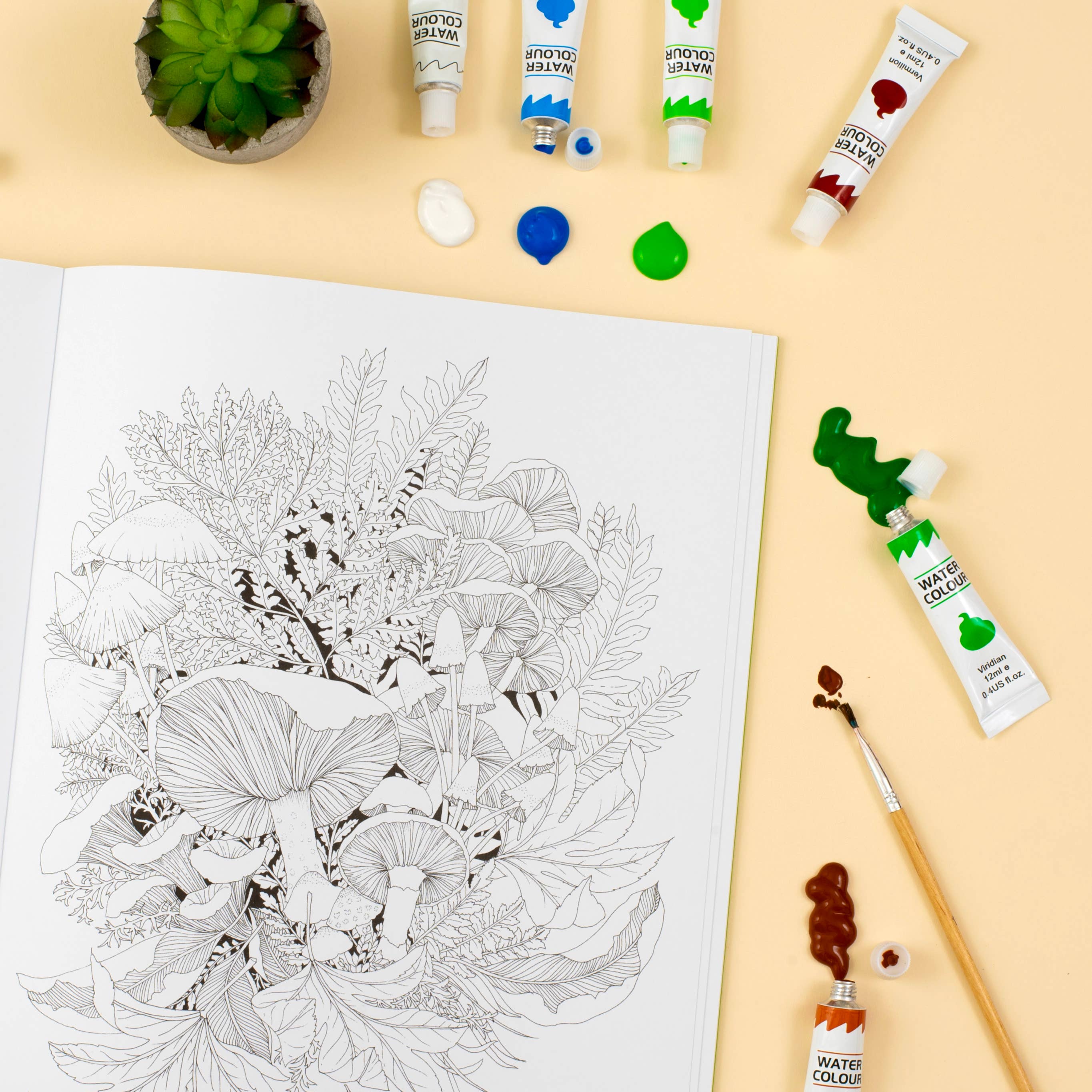 Abrams - Wholesale Coloring & Activity Book - Adult - Leila Duly's Walk in the Woods1