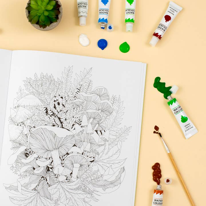 Abrams - Wholesale Coloring & Activity Book - Adult - Leila Duly's Walk in the Woods1