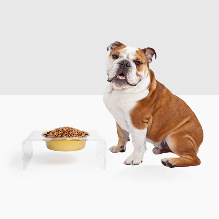 Single Gold Feeder for wholesale by Hiddin