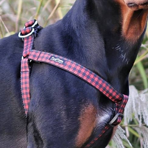 Fireside Dog Harness for wholesale by Paw Paws USA