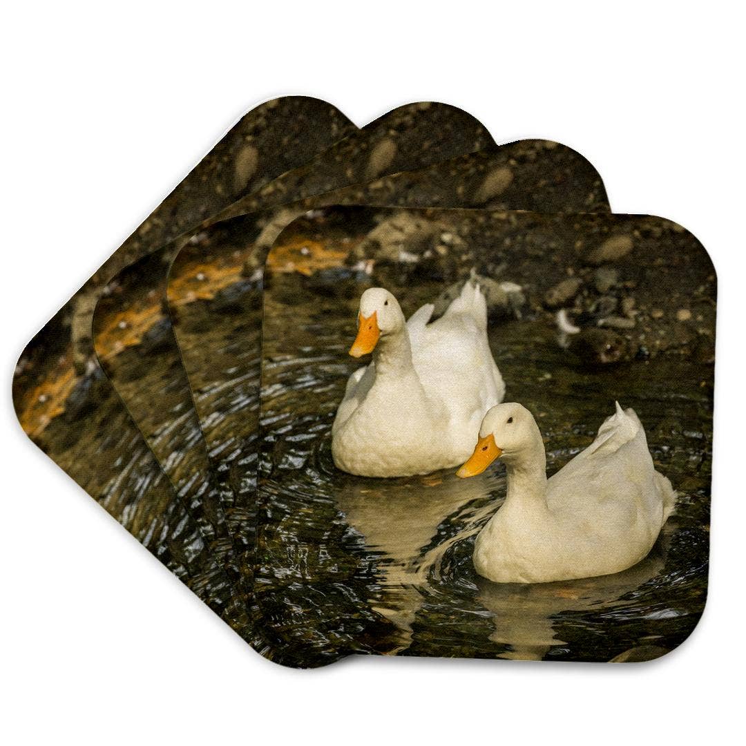 3dRose - Wholesale Coasters - 3dRose, Domestic free-range Pekin ducks swimming in a stream by their farm., Coaster7