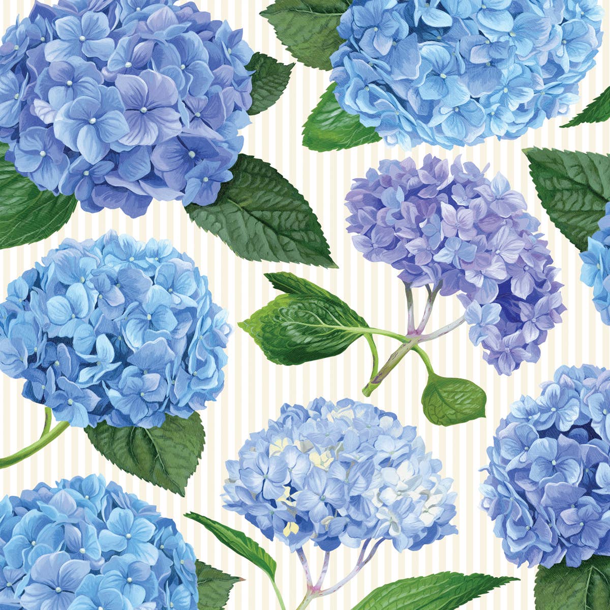 Brook Isle - Vente Sets de table jetables - Set de table en papier Hortensia (lot de 20)2