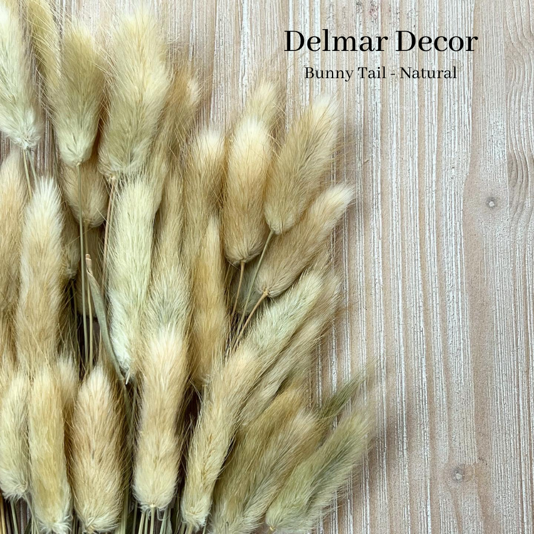 Delmar Decor – wholesale Torkade/pressade blommor – Torkad kanin svans, blommig inredning0