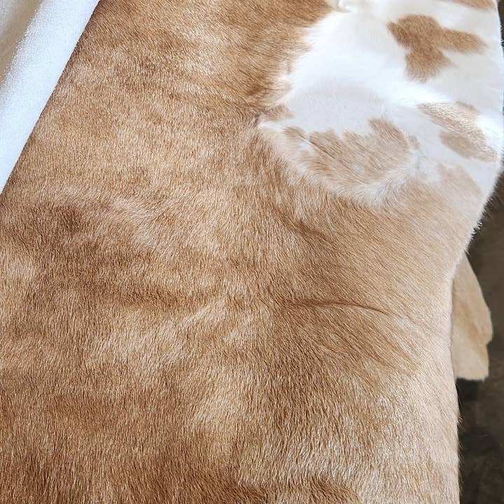 Luises Perez Imports LLC - Wholesale Area Rug - Assorted color cowhides