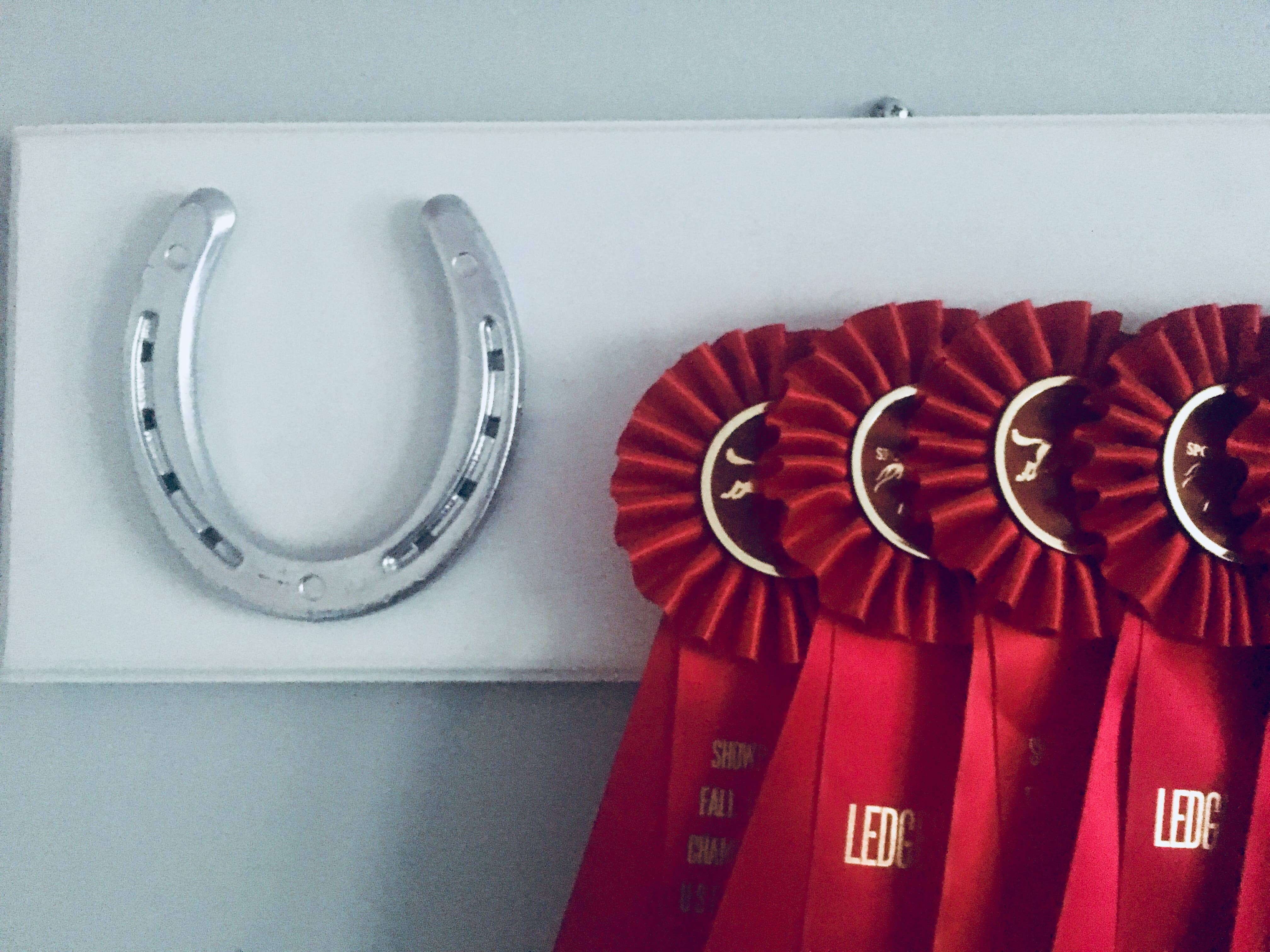 The Infused Equestrian – Prateleira de exposição por atacado – O rack de fita infundido2