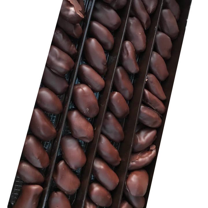 Dátiles orgánicos cubiertos de chocolate belga (vegano) a granel 1 kg para venta al por mayor de BioTamra
