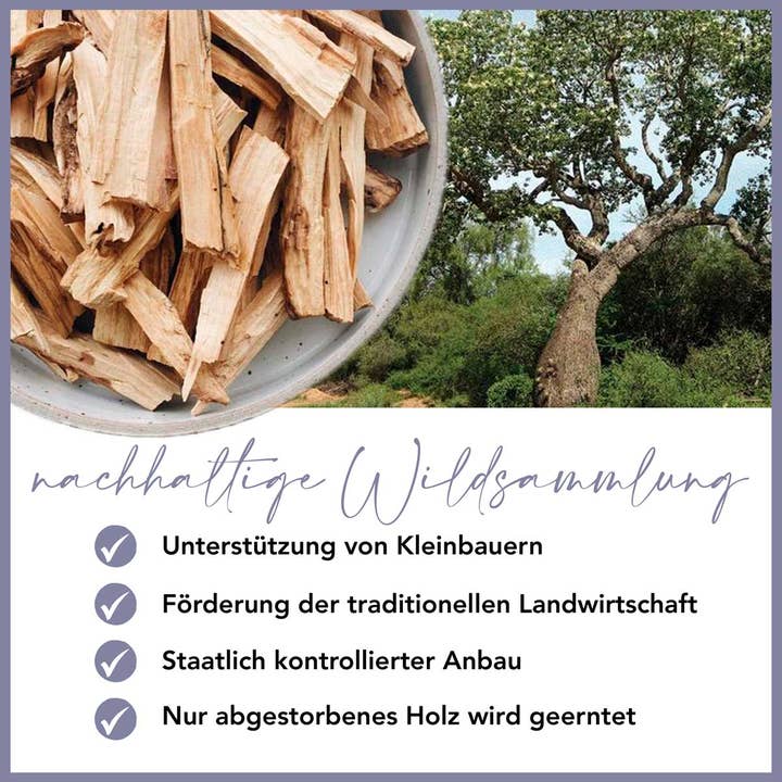 Laay - Wholesale Incense - PALO SANTO3