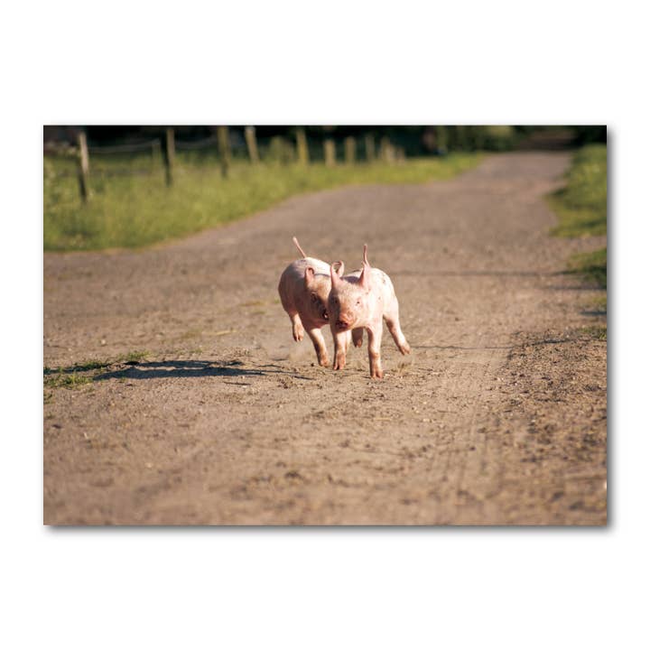 Ansichtkaart landschapsformaat, gekleurd, DIN A6 MG1474 voor wholesale door Gutrath Verlag