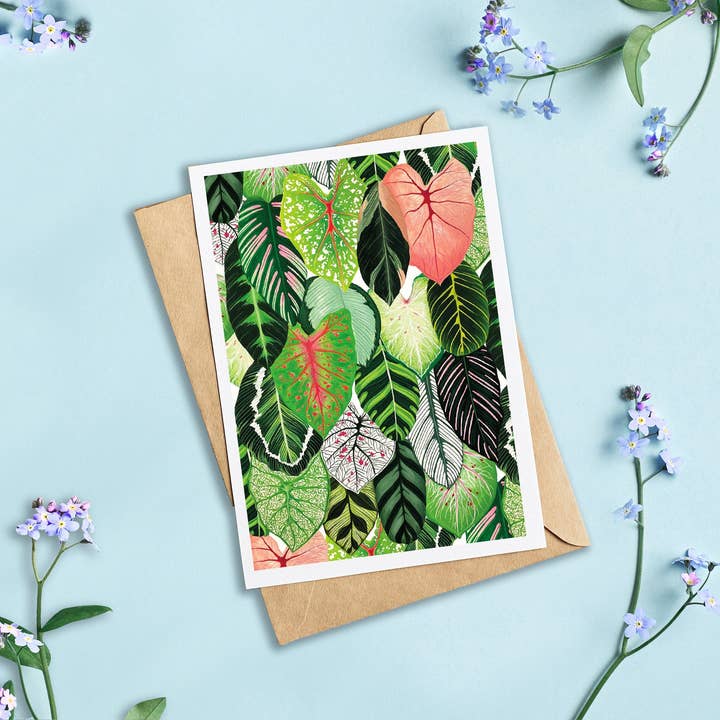 Lara Oztekin Designs – wholesale Vardagliga hälsningskort – Calathea bön växt & Caladium lämnar målning kort