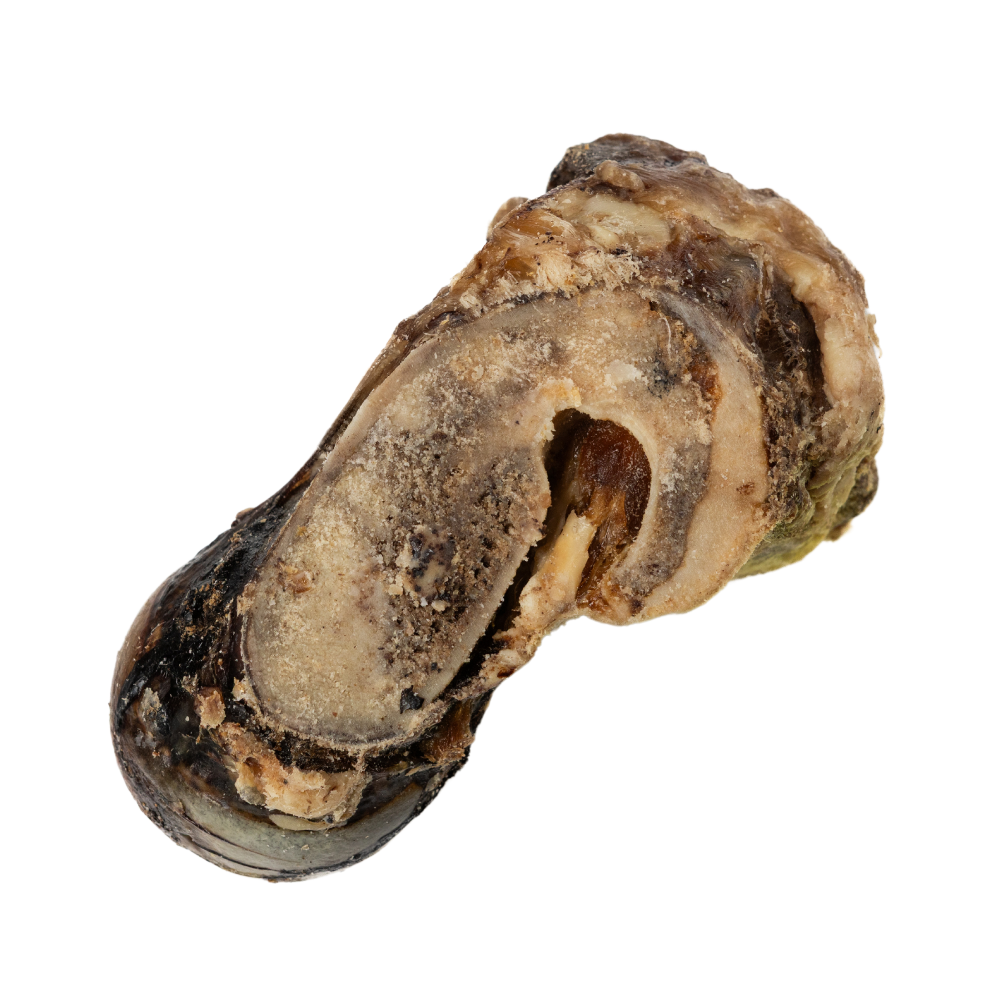 Jojo Modern Pets - Wholesale Pet Treats - Dog - Beef Saddle Knuckle | All-Natural Dog Chew Treat2