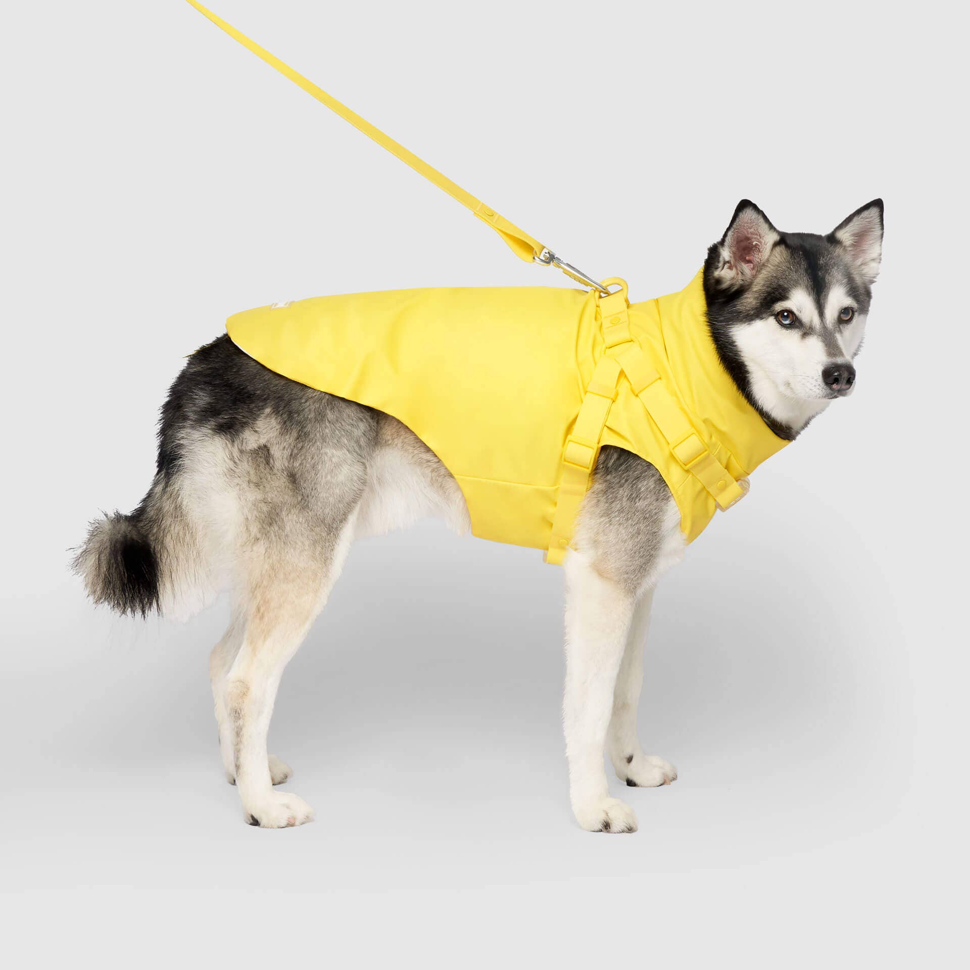 Canada Pooch - Vente Imperméable – chien - Imperméable harnais pour chien - manteau de pluie3