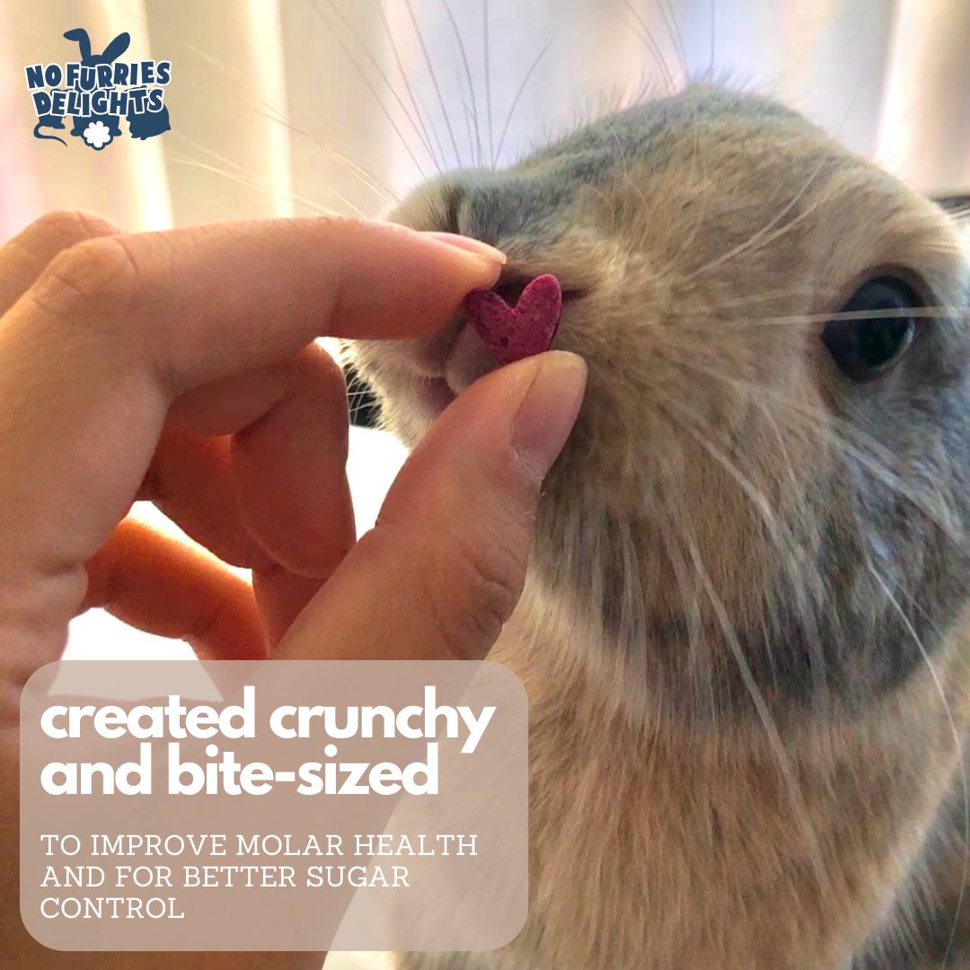 No Furries Delights - Wholesale Pet Supplement - Not Cat/Dog - Bark Variety Pack (50g | 1.76oz)9