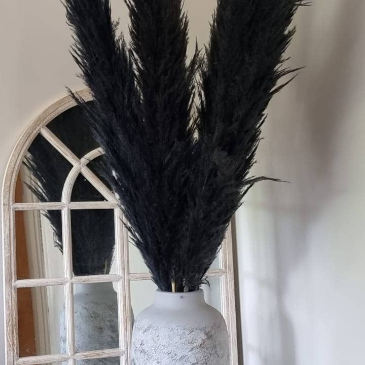 LoveProducts Ltd – wholesale Dried/pressed flowers – Pampas Grass Large black Fluffy Dried pampas arrangement