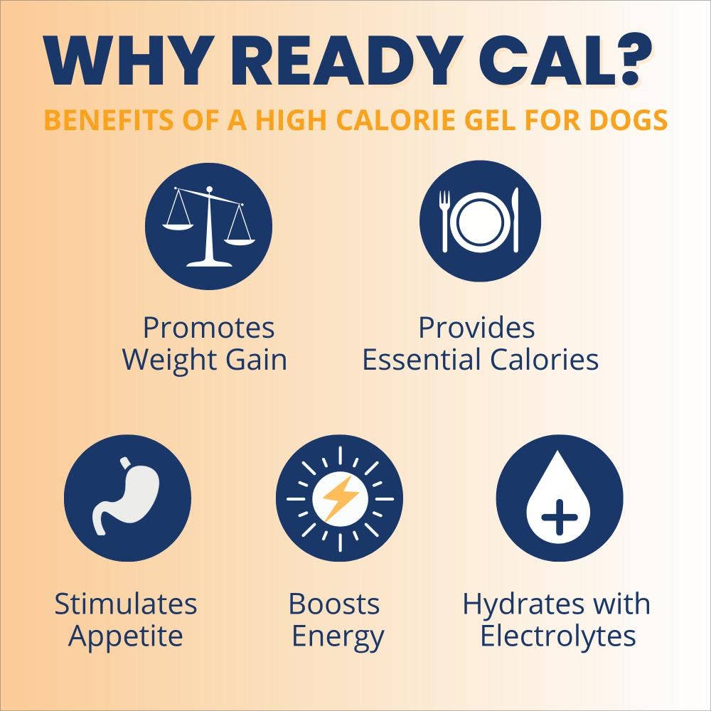 Pet Palette Distribution - Wholesale Pet Supplement - Dog - Under the Weather Ready Cal Plus w/Electrolytes Squeezable1