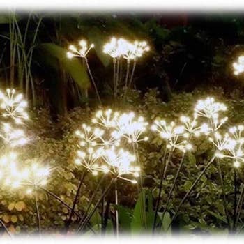 Will's Company - Wholesale Garden/Lawn Stake - LED Solar Dandelion Burst Garden Stake - Box of 2, 29.5"2