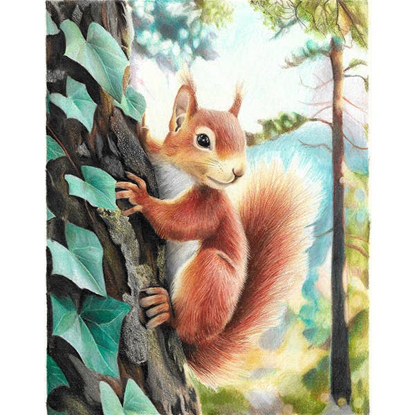 Grizaye - Wholesale DIY Craft Kit - Drawing Kit: Red Squirrel6
