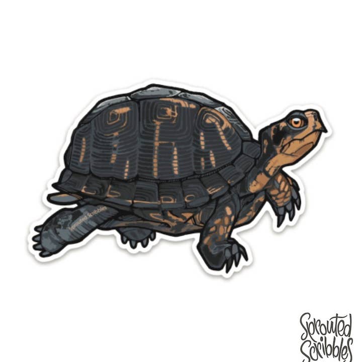 Turtle Sticker - Eastern Box Animal Nature for wholesale by Sprouted Scribbles