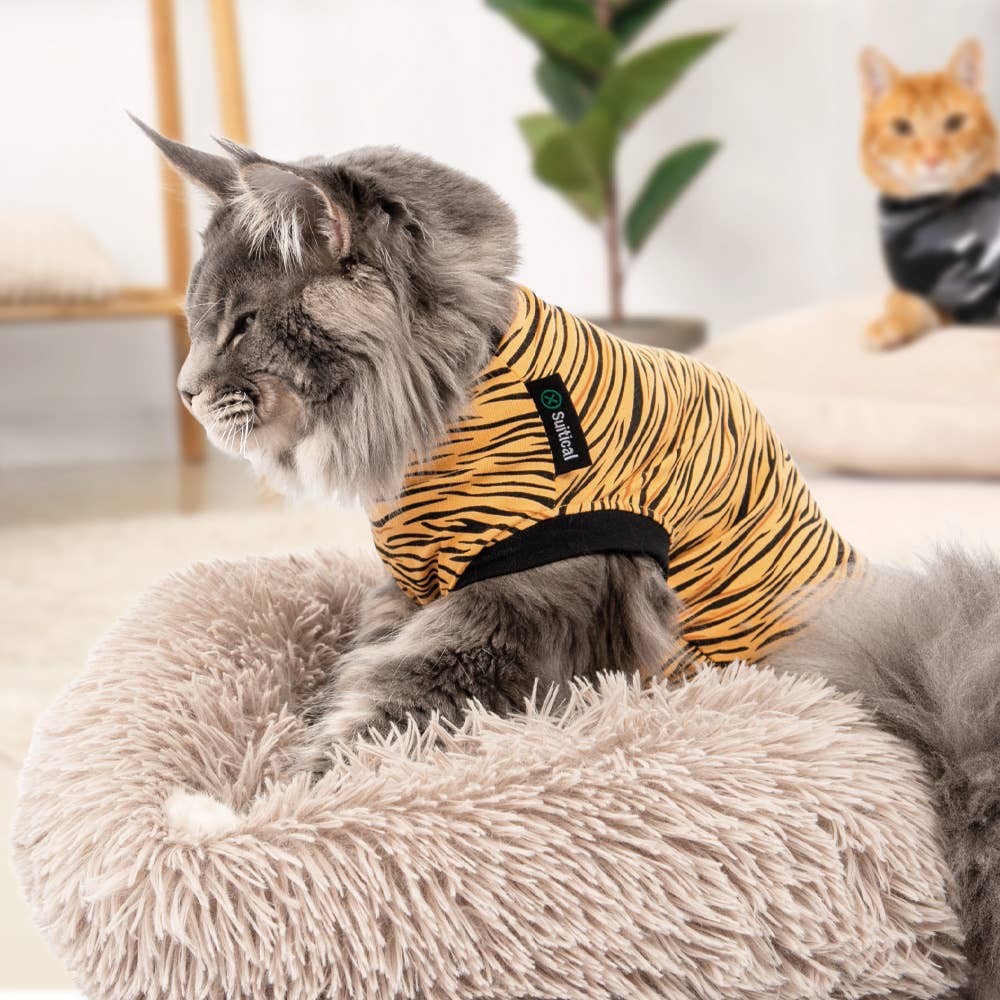 Suitical – wholesale Pet bodysuit – Cat/dog – Recovery Suit - Cat8