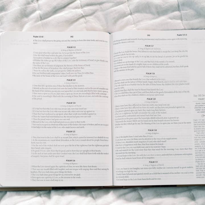 Barbour Publishing, Inc. - Wholesale Religion - The Daily Wisdom for Women KJV Devotional Bible2