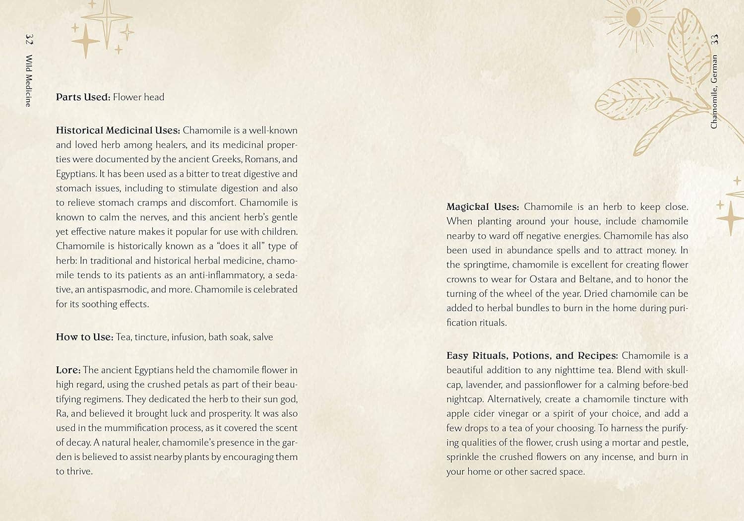 Blue Star Press - Wholesale Nature & Outdoors Book - Wild Medicine: Illustrated Guide to the Magick of Herbs5