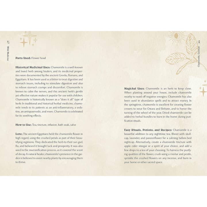 Blue Star Press - Wholesale Nature & Outdoors Book - Wild Medicine: Illustrated Guide to the Magick of Herbs5