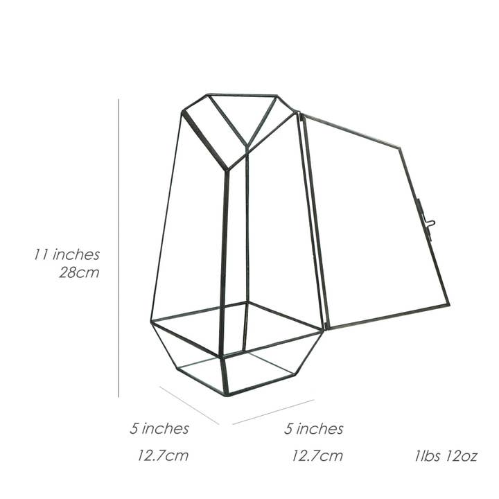HIRO AQUATICS – Engroshandel Plantekrukke – Indendørs Plante Geometrisk Glas Fartøj Container