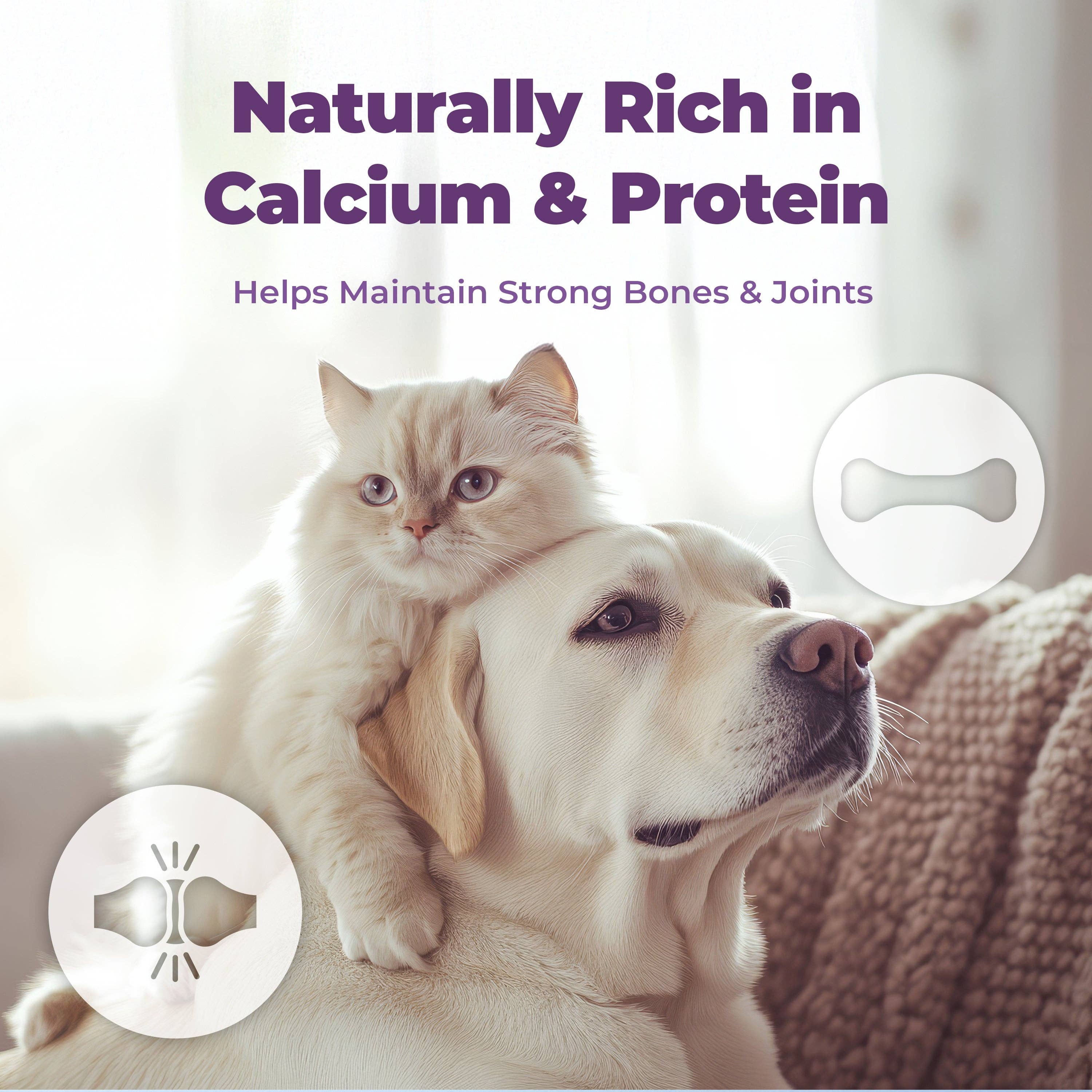 Kproduct4u - Wholesale Pet treats – Dog - It's Goat! Blueberry!5