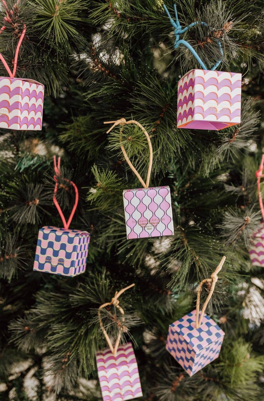 Blossom and Bloom - Wholesale Reed diffuser - Bamboo + White Lily - 10 ml Reusable Diffuser2