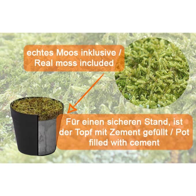 Michael & Philipp Noll e. K. – Großhandel Kunstpflanzen – Eukalyptus künstlich, Kunstpflanze, schwarzer Topf, 80 cm