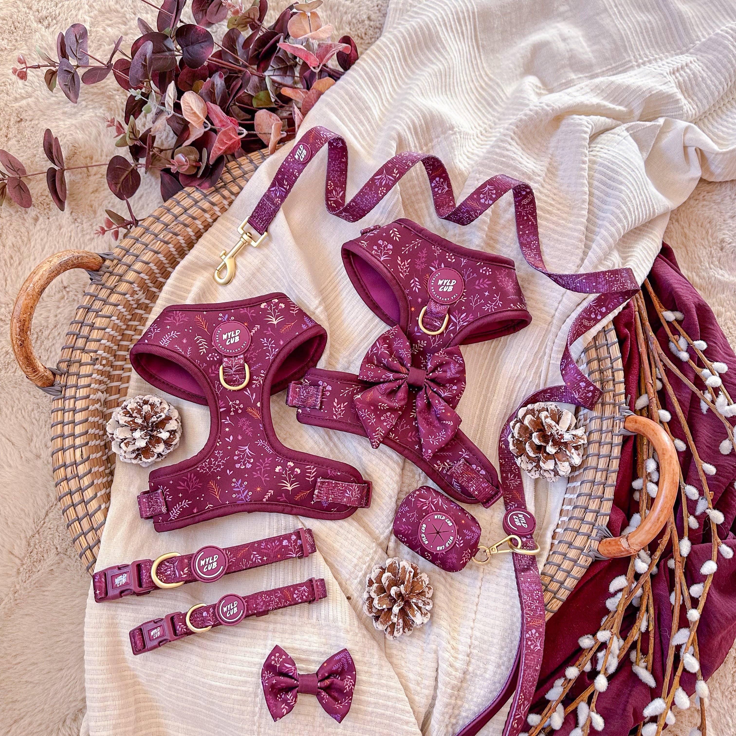 WYLD CUB - Vente Collier – chien - Collier ajustable pour chien : Chiswick Fig11