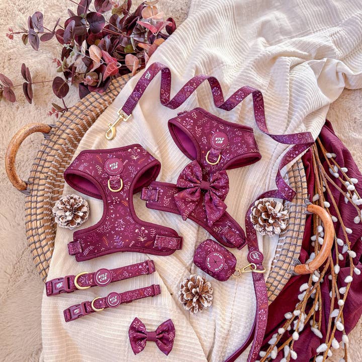 WYLD CUB - Vente Collier – chien - Collier ajustable pour chien : Chiswick Fig11