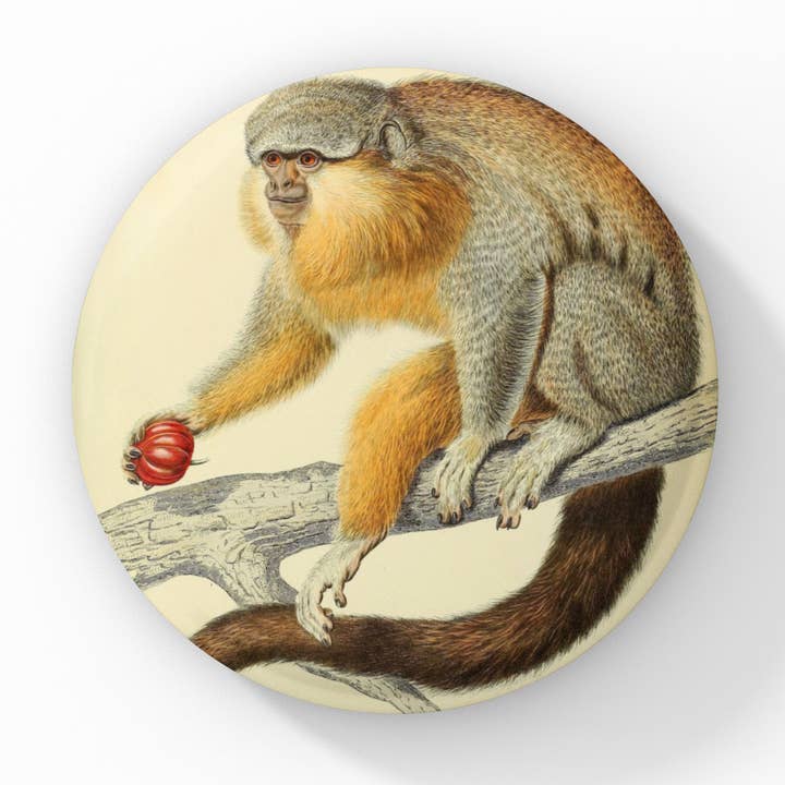 Monkey Pin Button, Monkey Keychain, Monkey Magnet for wholesale by NatureCuts
