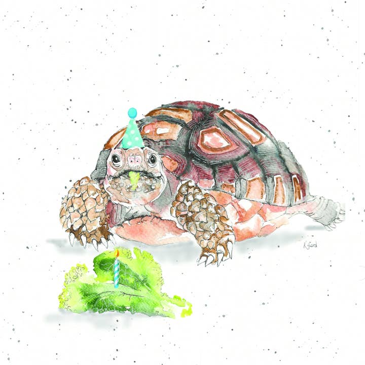 "Lettuce Shellebrate" Tortoise greeting card for wholesale by Animoo Art