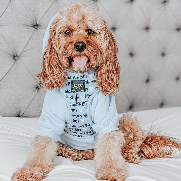 SASSY WOOF - Wholesale Pet Harness - Dog - Dog Adjustable Harness - Mama's Boy5