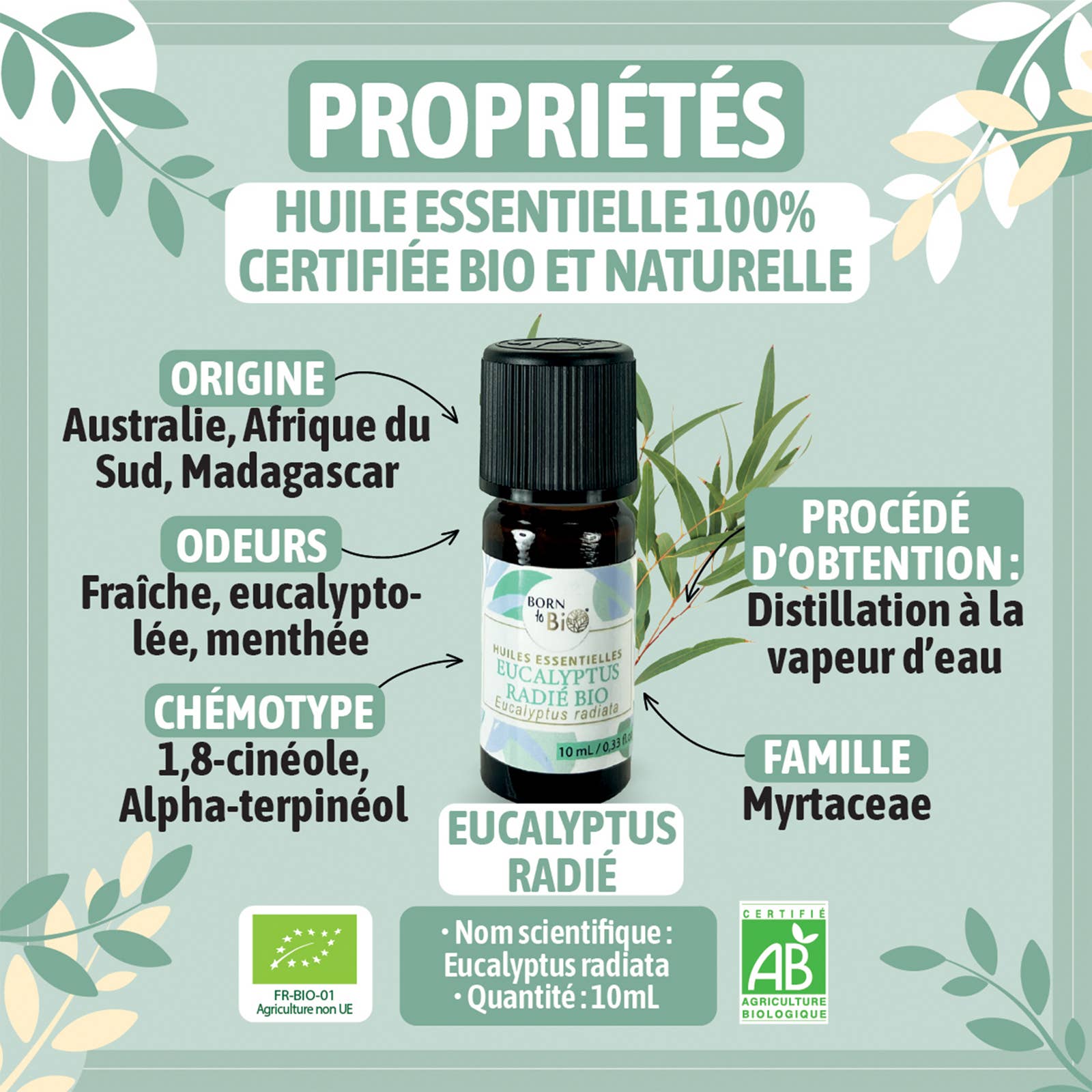 Les Laboratoires Bio Seasons - Wholesale Essential Oil - Eucalyptus essential oil Radie organic 10 ml5