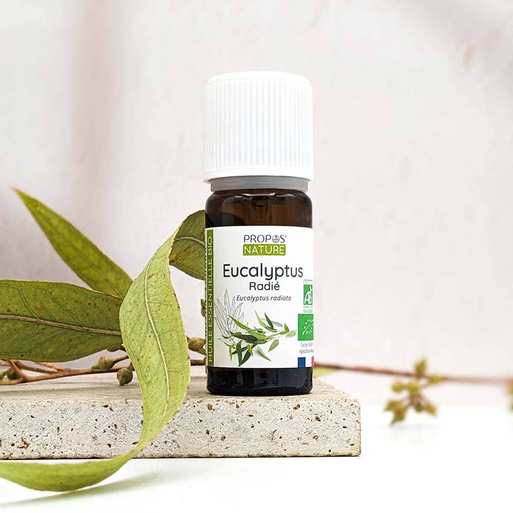 Propos'Nature - Vente Huile essentielle - Huile Essentielle d'Eucalyptus radié Bio 10ml1