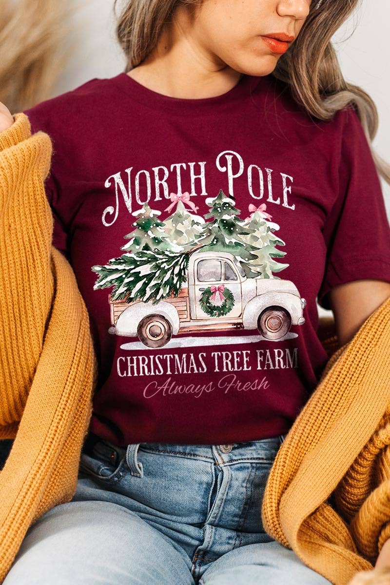 COLORBEAR – Großhandel T-Shirt (Grafikdruck) – Damen – Weihnachtsgrafik-T-Shirt Nordpol9