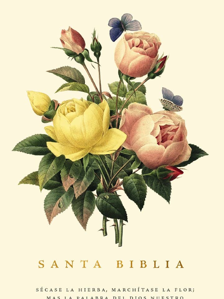 RVR60, Santa Biblia, Premio y Regalo, Floral for wholesale by HarperCollins Christian Publishing