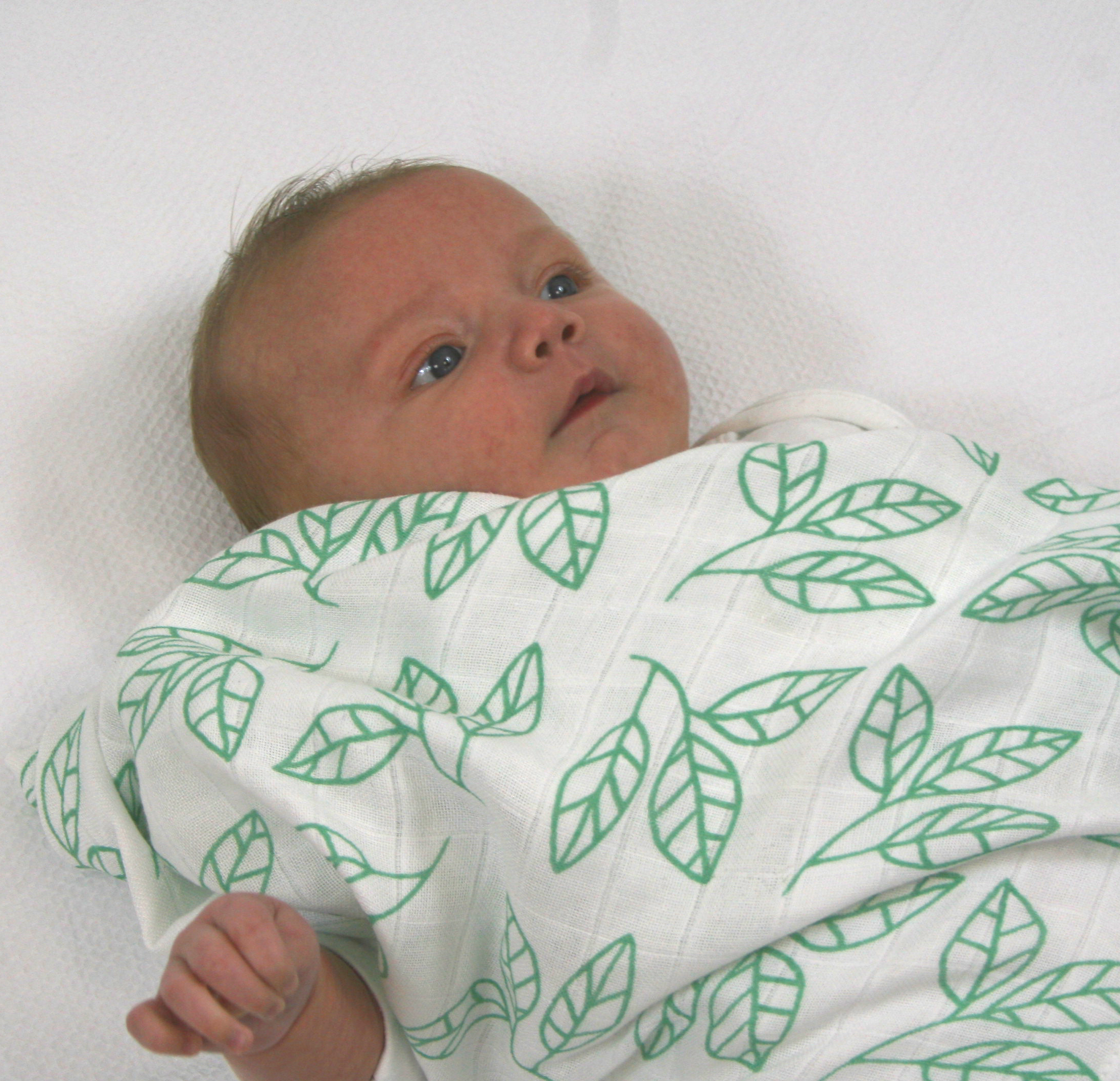 Muslinz - MerryGoRoundUK Ltd - Wholesale Spuuglapje - Baby - MuslinZ 3 stuks bamboe en biologisch katoenen mousseline doeken - Aqua Leaf3