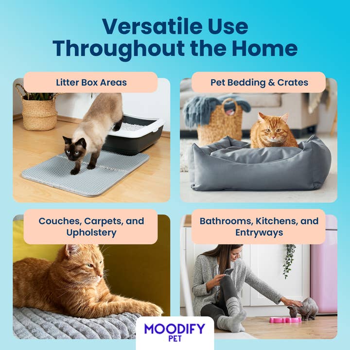 MoodifyPet - Wholesale Pet Deodorizing Spray - MoodifyPet Cat Litter Box Odor Eliminator3