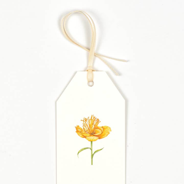 Cadeaukaartjes Floral - Gele pioenroos - Pakje van 5 voor wholesale door Goose Lane Designs