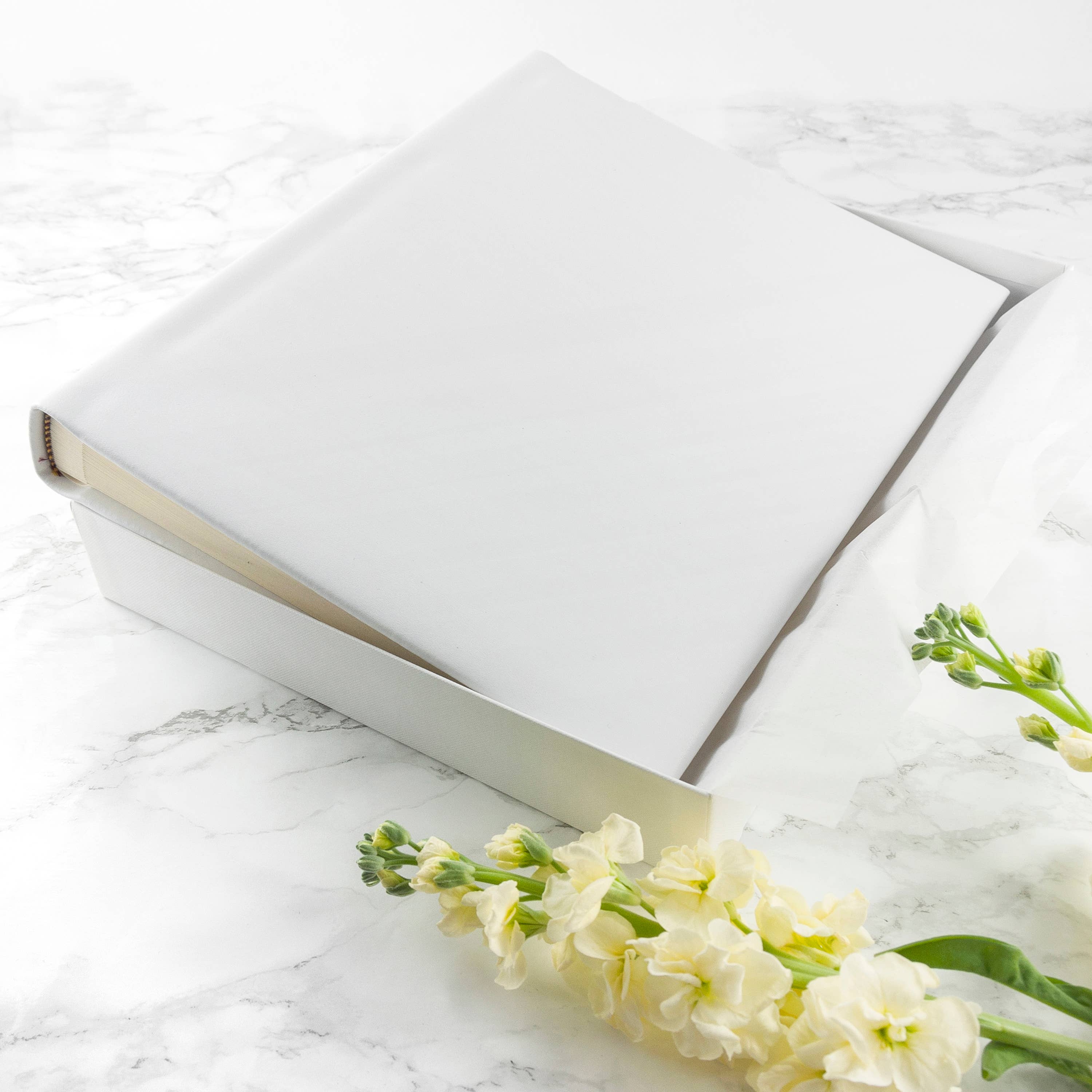 Treat Republic - Vente Albums photo - Album photo Dream Vachetta en cuir italien blanc12