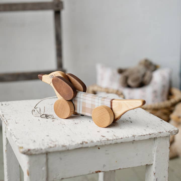 Friendly Toys - Wholesale Wood Toy - Kids - Handcrafted Birch Wood Pastel Sausage Dog Pull Toy1