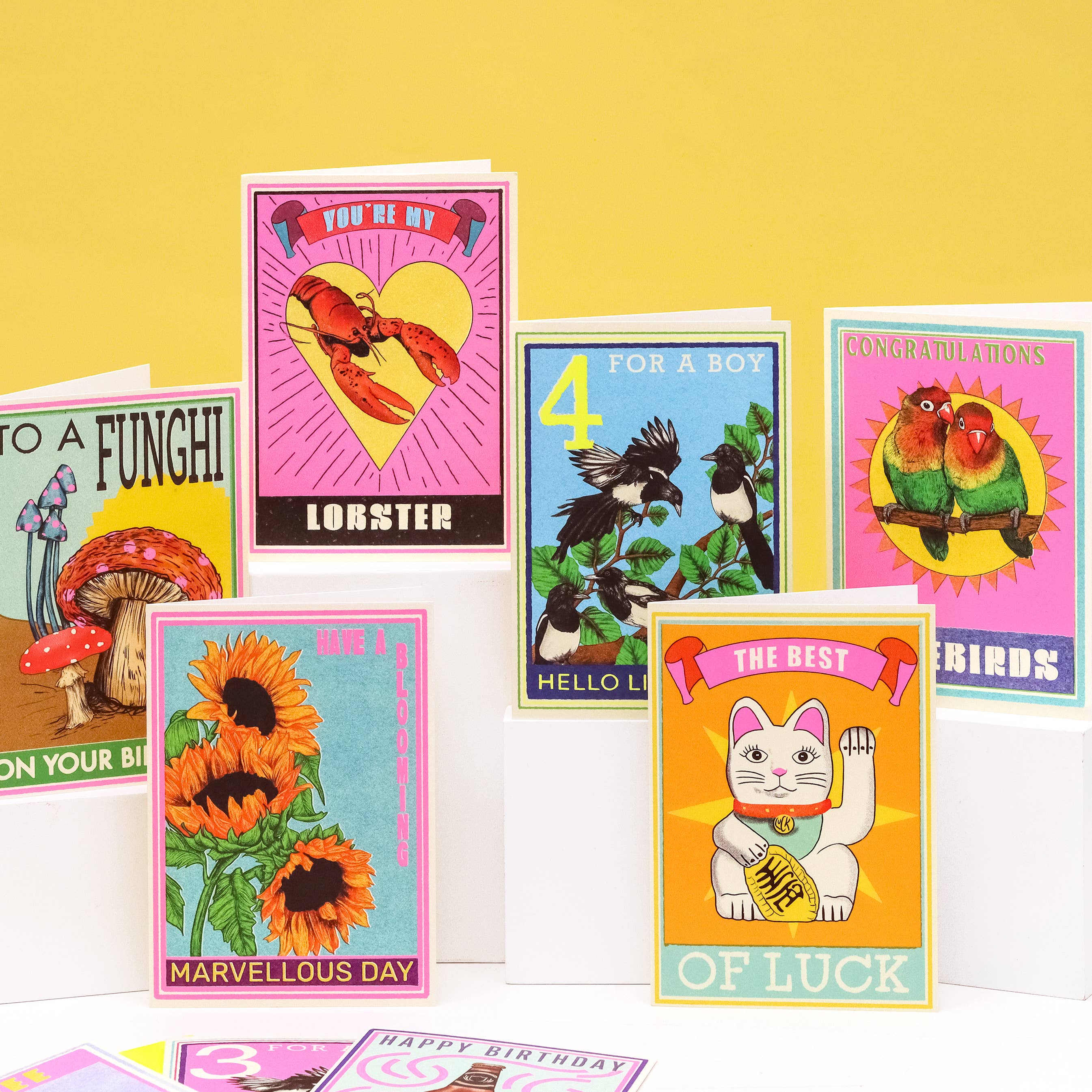 Fawn & Thistle Ltd (US Duties Paid) - Wholesale Good Luck Card - The Best Of Luck Cat Greeting Card | Good Luck | Best Wishes6