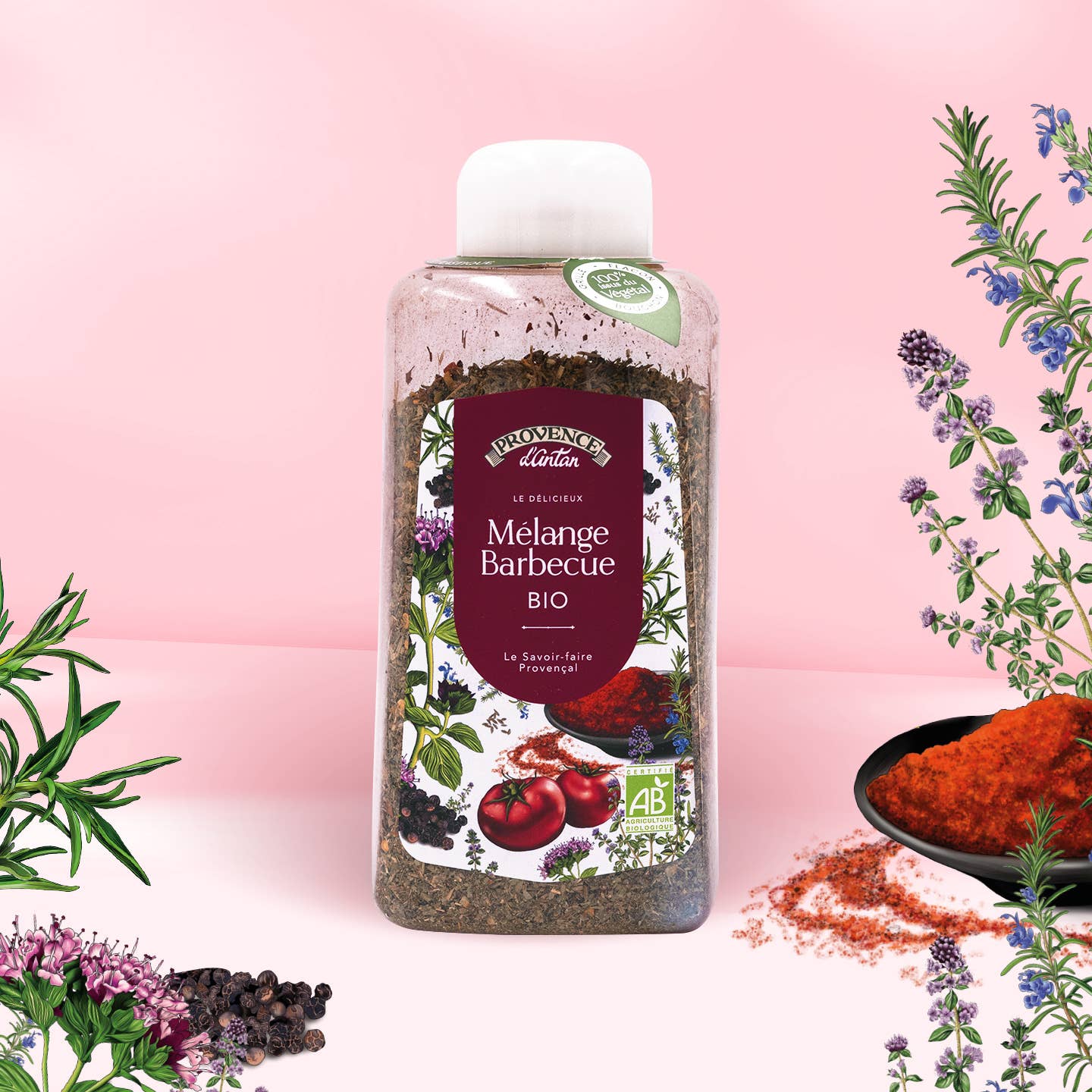 PROVENCE D'ANTAN - Vendita all'ingrosso Mix di spezie secche - Miscela barbecue Bio* - 260g Vaso vegetale PLA0