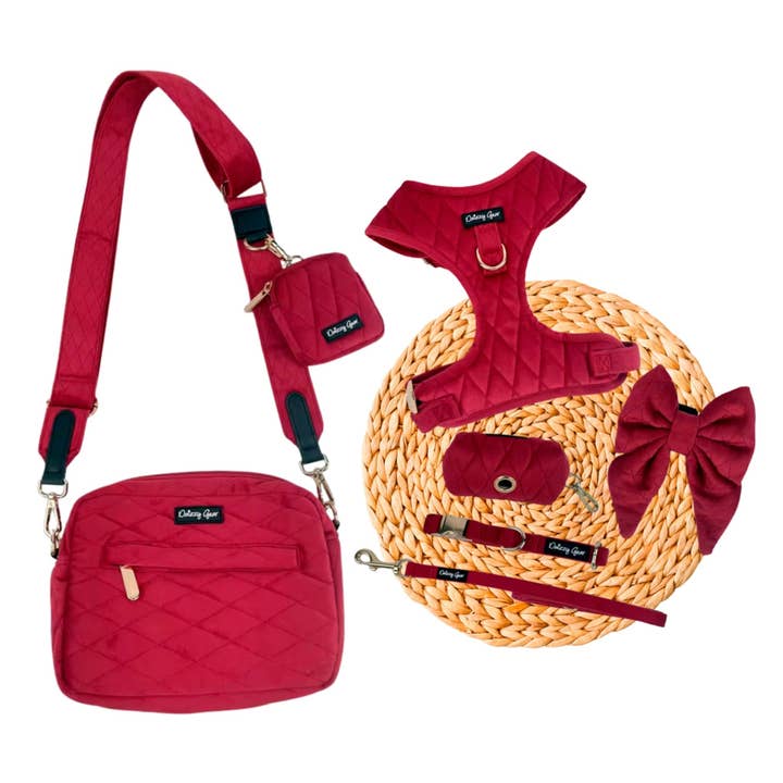 Pup Wishes Red Velvet Christmas Dog Twinning Bundle ( Dog Walking Set + Bag) for wholesale by Daizzy Gear