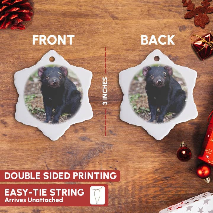 3dRose - Wholesale Ornament - 3dRose, Tasmanian Devil wildlife, Tasmania, Australia - AU01 MZW0090 - Martin Zwick, Ornament9