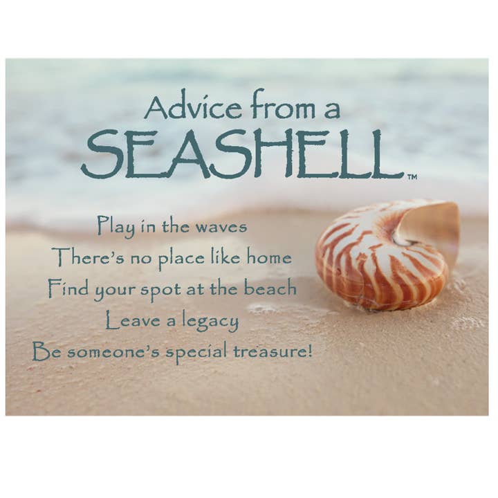 Advice from a Seashell Jumbo Magnet for wholesale by Advice for Life by Your True Nature